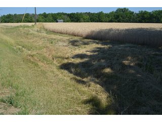 Property photo 47 - 108 +/- Acres Offered in 2 Tracts - Land Auction